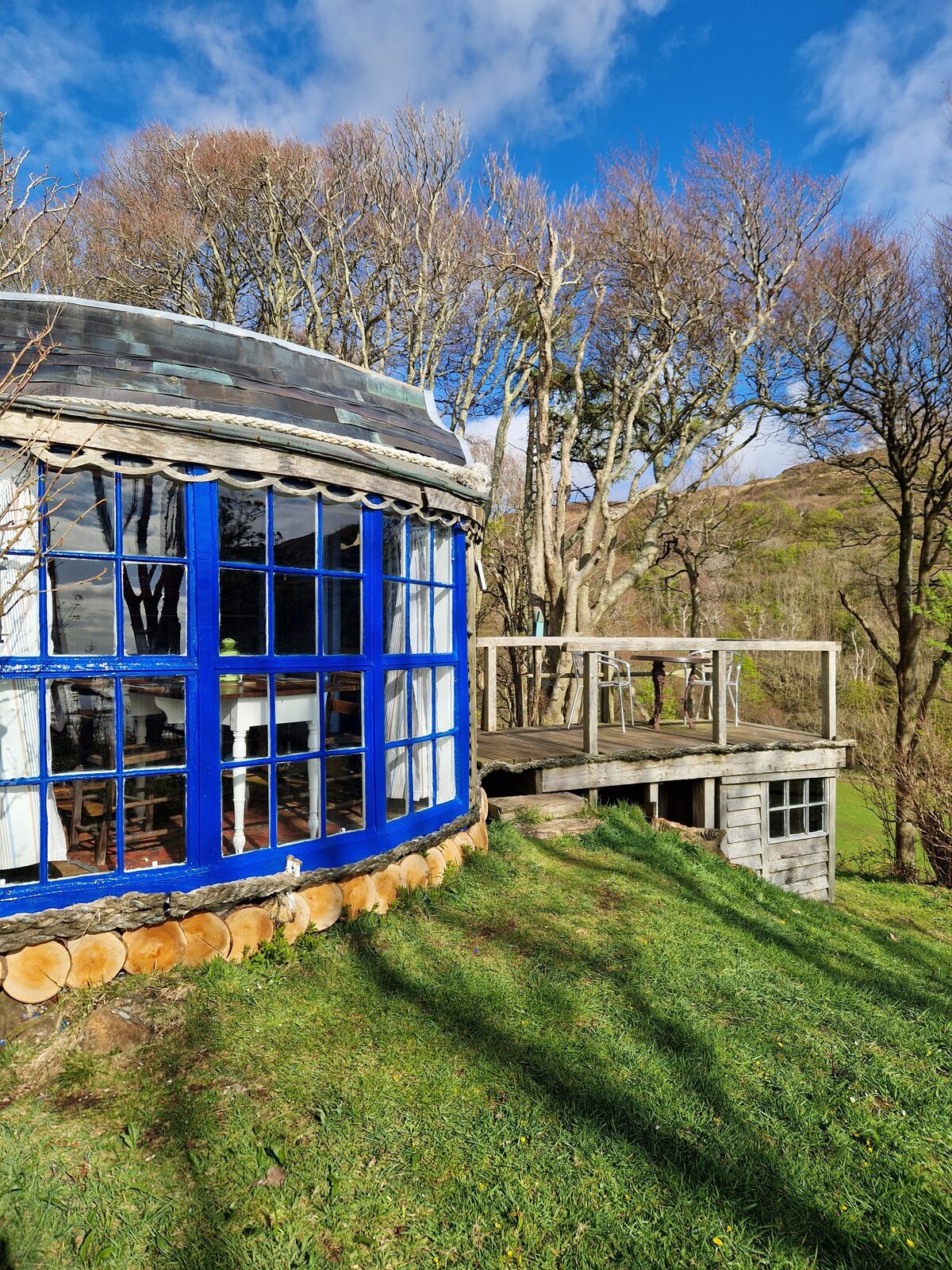 Kittiwake from the front — the striking curved blue windows, timber cladding, raised decking, and boat-scale roof among the trees