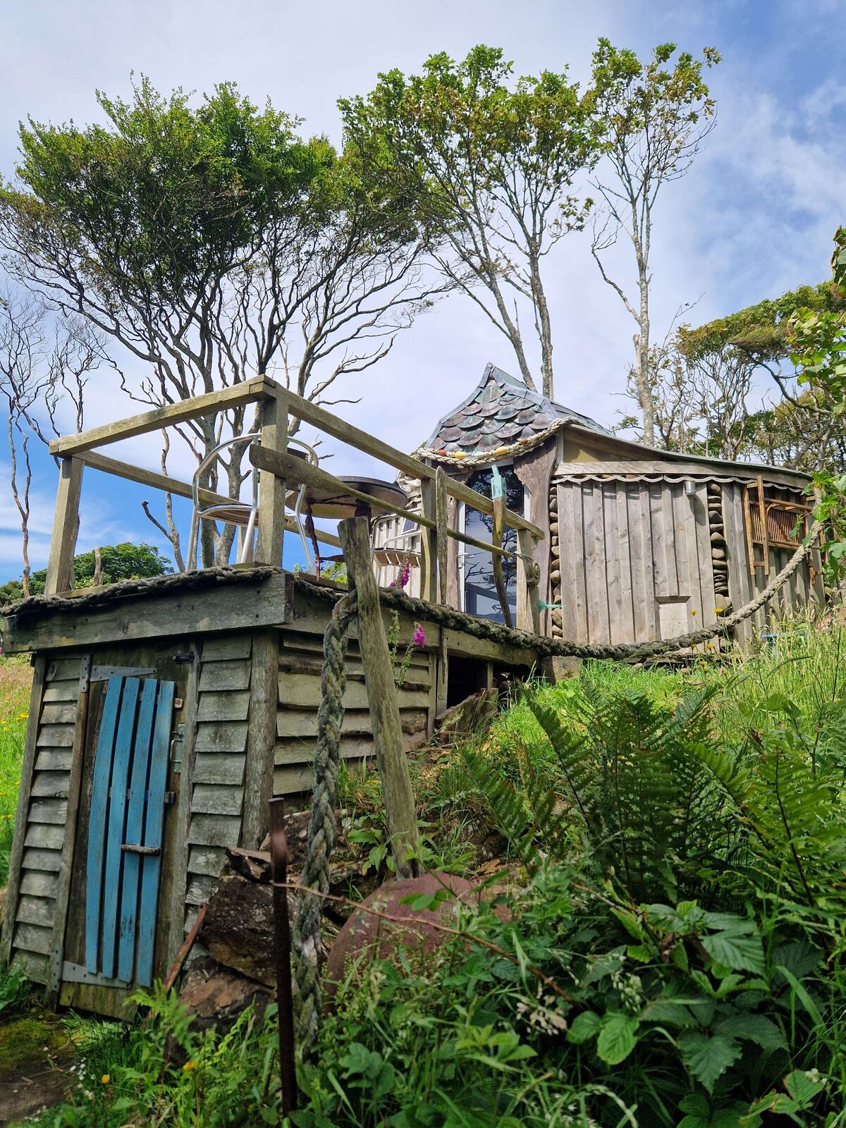 Kittiwake from below — the handcrafted timber hut with its distinctive scale-patterned roof among the trees