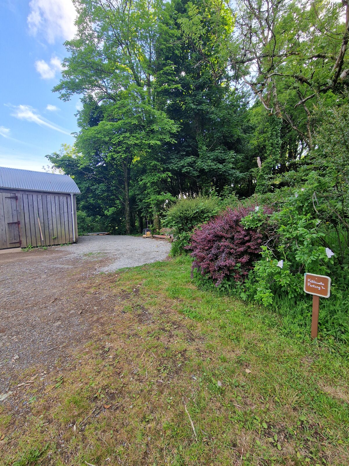 The woodland path leading to Kittiwake with a small signpost among the trees
